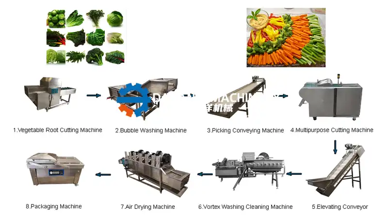 Leaf Vegetable Processing Line1